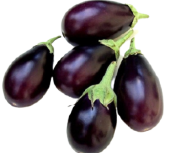 Rounded Eggplant