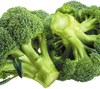 Fresh Green Brocoli 1-KG