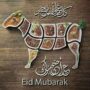 Eid Essentials
